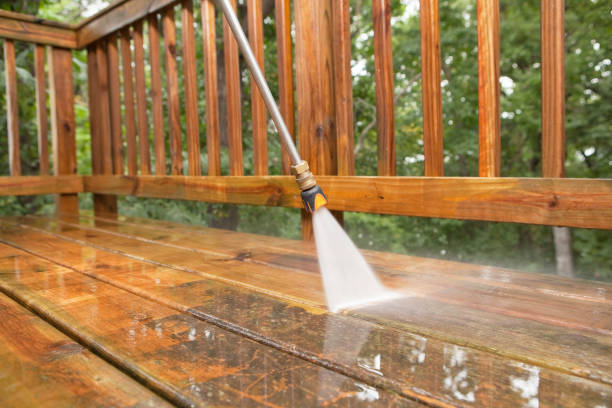 Best Gutter Cleaning  in Nederland, CO